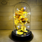 3x Gold