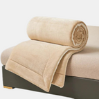 Beige / 39
