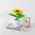 1 flowers