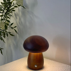 Oak nut / Diameter 9 cm (3.5 inches) x H 10.5 cm (4.1 inches)