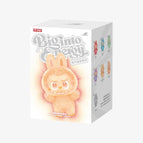 1 Box